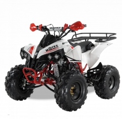 MOTAX ATV Raptor Super LUX 125 сс